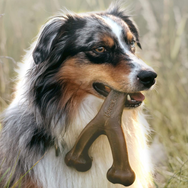 Benebone Wishbone Durable Dog Chew Toy #madeinUSA